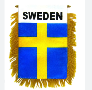 Drapeau de voiture à suspendre, mini-drapeau de football mondial, bannière pour vitre de voiture avec ventouse, drapeau double face à franges dorées, vente chaude - Product Image 5