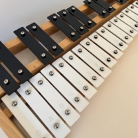 27 Note Glockenspiel Xylophone Percussion Instrument for Beginners Christmas Gift School Educational Toy High Quality