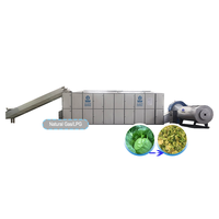 Séchoir à feuilles de stévia, machine efficace pour sécher les feuilles de stévia, équipement de séchage des feuilles d'herbes
