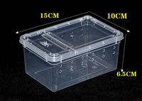 Cage d'élevage pour reptiles en plastique transparent/noir - Différentes tailles - Cage pour animaux de compagnie pour l'élevage des reptiles