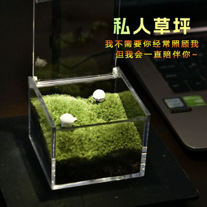Moss Micro-Landscape Indoor Desktop Potted Plants Fresh <b>Small</b> Green Plant Ornaments Office Gifts Mini Moss Eco-Bottle - Product Image 4