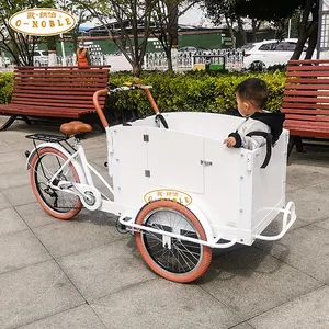 Fashion Cargo Bike Elektrische 3 Wielen Cargo Bike Voor Kinderen & Huisdieren Voor Verkoop