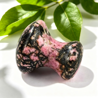 Pierre de massage faciale en forme de champignon, masseur pour les yeux et le visage, Gua Sha en rhodonite pour le visage