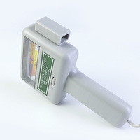 Détecteur de chlore résiduel portable carré 2 en 1 pour piscine Sonde Testeur de pH Analyseur de qualité de l'eau