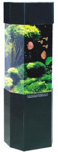 Aquarium en acrylique JU-800 - Product Image 4