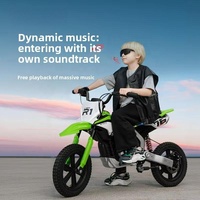Moto électrique pour enfants 24v avec musique et lumières, rechargeable, deux places, tout-terrain, jouet pour s'amuser en plein air