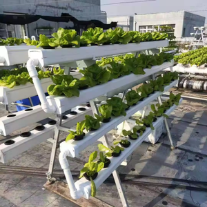 Grande serre <span class=keywords><strong>agricole</strong></span> complète avec <span class=keywords><strong>kit</strong></span> de culture hydroponique NFT et canaux <span class=keywords><strong>en</strong></span> PVC de qualité alimentaire anti-UV durables - Product Image 3