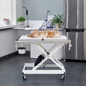 HC-R014 ветеринарный стол для осмотра - Product Image 6