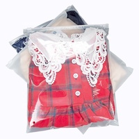 Sac à zip-lock givré personnalisé mat refermable en plastique pour vêtement fermeture éclair EVA emballage transparent sac de t-shirt pour chaussures