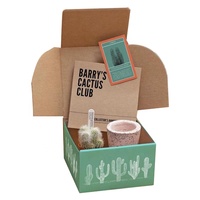 Boîtes d'emballage à base de plantes en pot ondulé avec logo personnalisé, boîte d'expédition de courrier pour plantes, boîtes d'emballage pour plantes