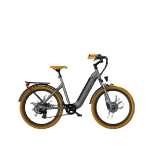 핫 세일 26 인치 750W 전자 자전거 모터 허브 미드 드라이브 도시 도로 전기 팻 타이어 자전거