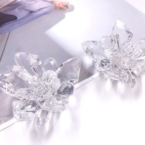 Venta Caliente <span class=keywords><strong>2021</strong></span>: Hebilla Decorativa de Acrílico Hecha a Mano con Diseño de Flor de Cenicienta para Zapatos de Niña, Venta Directa de Fábrica - Product Image 1