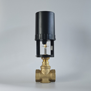 Vanne de régulation électrique en laiton DN50, type proportionnel intégré, pour le traitement des eaux usées - Product Image 1