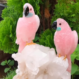 ของขวัญนกแก้วคริสตัลงานฝีมือคุณภาพสูง งานหัตถกรรมใหม่แกะสลักจากวัสดุผสม-ธรรมชาติ อาเกต จีโอด อะเมทิสต์ - Product Image 2