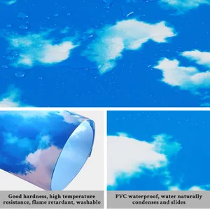 Custom Design High Quality Lamp Shade Material Pvc Transparent Sticker Blue Sky Pattern Lamp Shade
