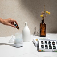 Nouvel ensemble d'huiles essentielles biologiques avec diffuseur aromatique Huiles de parfum et de parfum Huile d'essence de parfum