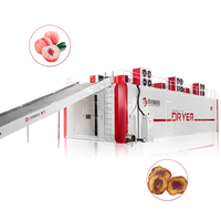 Automatische Chili-droger - Voedselveilige roestvrijstalen gaasbanddroger met PLC-besturingssysteem, hoge vermogens 18kW voedselverwerkingsapparatuur