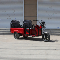 Tricycle Électrique 650W à Grande Autonomie pour la Famille et la Livraison – Vélo Électrique à 3 Roues – Offre Spéciale