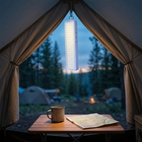 Lanterne de camping rechargeable par USB à 60 LED, magnétique, avec port Type-C, lumière d'urgence portable pour la pêche en extérieur et les pannes de courant