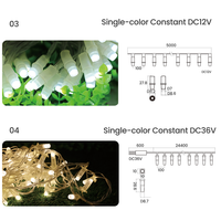 IP68 LED-Lichterkette DC12V/24V/36V RGB RGBW DMX512 Punktsteuerung Weihnachten Außenbereich Sternen-Dekor Feenlichter