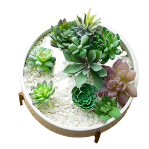 Nouveau pot de bonsaï en céramique émaillée de 10 pouces avec drainage rond en marbre cactus fleur <span class=keywords><strong>plante</strong></span> bol <span class=keywords><strong>ombre</strong></span> planteur pour la maison jardin - Product Image 2