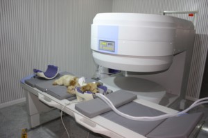 EUR VET Haute qualité Nouvel écran <span class=keywords><strong>scanner</strong></span> de machine IRM 0.35t avec garantie maintenant en stock - Product Image 5