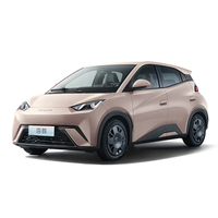 Nouvelle Offre Exceptionnelle : Voiture Électrique BYD Seagull Flying, Édition Vitality, 5 Portes, 4 Places, Autonomie 305-405 km, Nouvelle Énergie