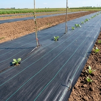 Tapis anti-mauvaises herbes tissés en PP robustes 100 g/m², tapis anti-mauvaises herbes tissés en PP 130 g/m² noir stabilisé anti-UV perméable à l'eau, rouleau de 2 m
