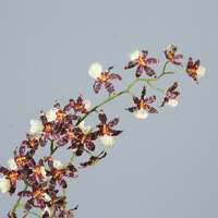 Branche de fleur artificielle en soie hollandaise moderne (Oncidium parfumé) en gros pour la décoration de mariages, maisons, jardins et restaurants