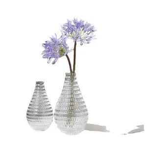 灯泡形状透明玻璃花瓶，用于家庭装饰和花卉