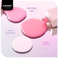 PRO Gel vernis à ongles populaire pour manucure française Jade, collection rose 48 couleurs, avec livre de couleurs offert, boîte, OEM, logo de marque privée unique