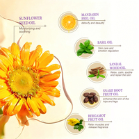 Huile Essentielle de Beauté à Base de Plantes Douces pour l'Amélioration des Hanches, le Gros Fessier, le Massage, le Lifting, le Raffermissement et l'Agrandissement, Marque Privée OEM