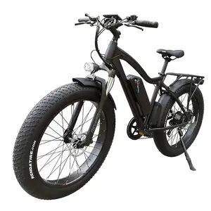 26 "500W 750W 1000W 큰 파워 지방 타이어 enduro 전기 자전거/스노우 자전거/전기 자전거 CE
