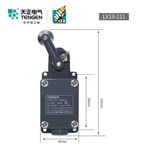 Tengen LX19-111 Limit Switch <b>Miniature</b> AC DC Control Loop Positioning Switch - Product Image 1