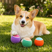 Balles de tennis élastiques pour chien, lot de 3, balles de tennis en caoutchouc à rebond élevé, non tissées, jouet interactif pour mâcher et apporter pour les chiens
