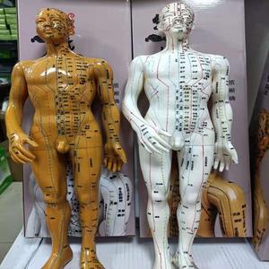 Modèle d'acupuncture du corps humain en PVC, guide pédagogique réutilisable sur les points de méridiens, homme et femme, petite taille - Product Image 2