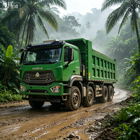 Truk Tipper Tambang HOWO NX 8X4 Terbaru Lampu LED Terang Truk Dump Berat untuk Konstruksi Malam Hari