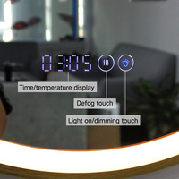Taida – miroir de salle de bain mural LED, vente directe, miroir éclairé