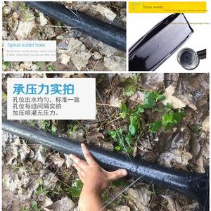 สายฉีดน้ำแบบสายพานสำหรับการเกษตร ไมโครสเปรย์ สายฉีดน้ำหลัก ระบบฉีดพ่นละอองน้ำ ประหยัดน้ำ รดน้ำอัตโนมัติ รุ่น CD449701079790 - Product Image 3