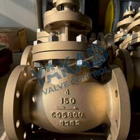 Edelstahl-Rückschlagventil mit Flansch RF Klasse 150 PN16 für Industrielle Rohrleitungen und Pumpenauslassanlagen