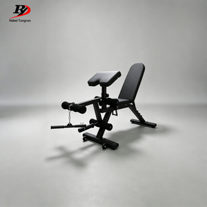Banc de musculation professionnel réglable avec fonction preacher curl et développateur de jambes pour l'entraînement complet du corps et le fitness - Product Image 1