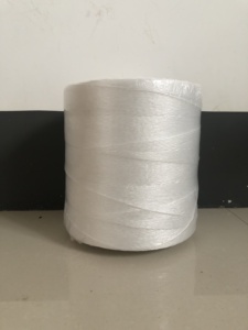 Nhà máy sản xuất trực tiếp bán PP dây đầy màu sắc cà chua twine UV bảo vệ PP chuỗi PP dây cho nông nghiệp - Product Image 4