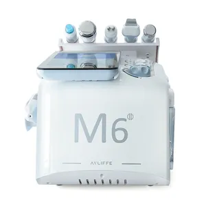 Macchina facciale professionale 6 in 1 portatile h2o2 hydra oxygen con macchina per il ringiovanimento della pelle mesoterapia cold hammer M6