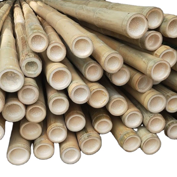 Hochwertige gelbe Bambus stangen pfhle fr Pflanzen stehen Bambus stangen  Stcke HEISSER VERKAUF Big Bamboo| Alibaba.com