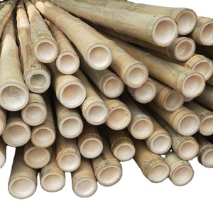 High Quality Yellow <strong>Bamboo</strong> Pole Stakes for for Plants Stand <strong>Bamboo</strong> Poles <strong>Canes</strong> HOT SALES Big <strong>Bamboo</strong> - Product Image 1
