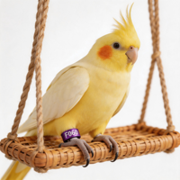 Bague d'identification pour oiseaux, plaquée, fermée, pour perroquets, fournitures pour éleveurs d'oiseaux en volière