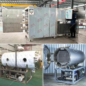 Máquina de Secado por Congelación Comercial e Industrial para Frutas, Verduras, Café, Dulces y Alimentos - Product Image 2