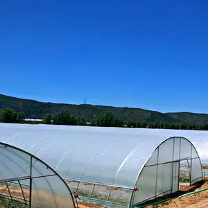 Invernadero comercial de un solo tramo, invernaderos de producción de verduras, invernadero personalizado de China para plantar