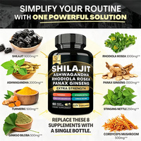 Capsules Neewwon 8-en-1 Shilajit Ashwagandha, Rhodiola Rosea Panax Ginseng, Soutien Énergétique et Anti-Stress, Prêt à Expédier