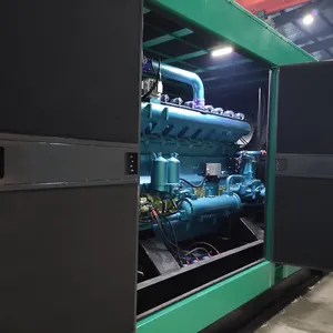 300kW 1000 U/min Biogas-Biomasse-Gasgenerator